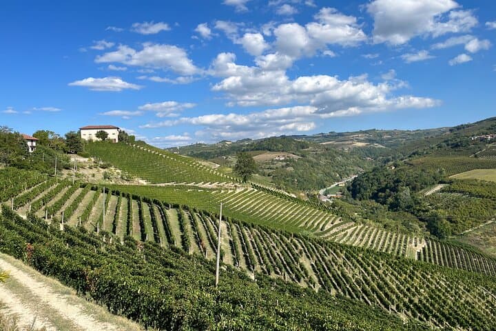 Private Barolo Wine Tour with Winemaker