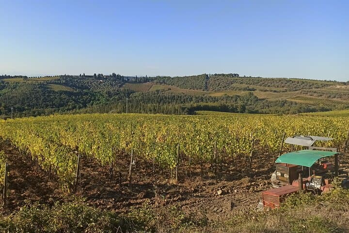 Original photo by Pek Tuscany in Limo