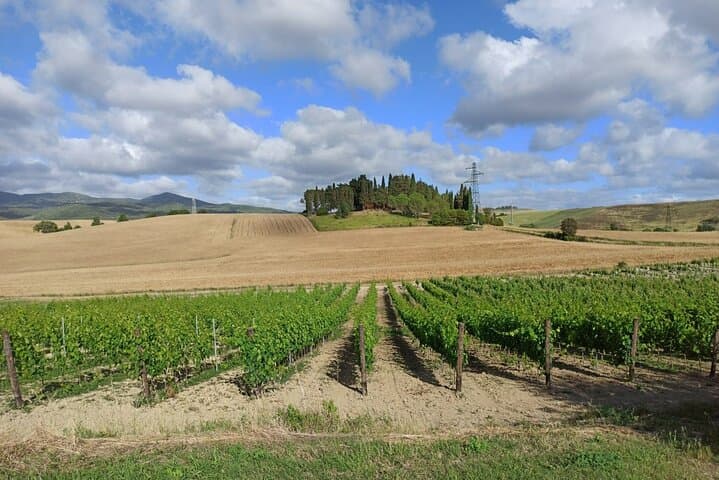 Original photo by Pek Tuscany in Limo