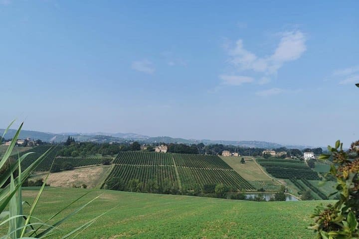 3 Hour E-bike Tour with Parmesan and Balsamic Vinegar