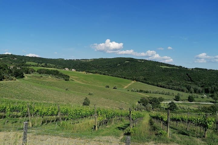 Florence Fiat 500 Wine Tour and Tuscan Lunch at Farm in Chianti