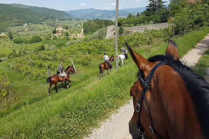 Horseback ride and gourmet cuisine in a historic food shop