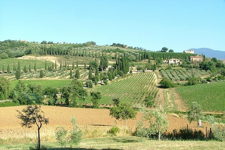 Fall in love with Tuscany by touring bike - 1 day rental