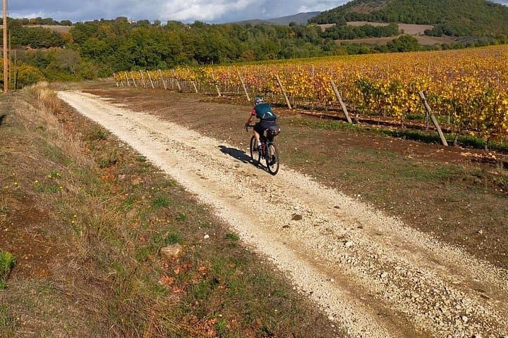 Fall in love with Tuscany by touring bike - 1 day rental