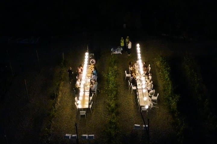 Sunset Summer Dinner Among the Vines – Small Group