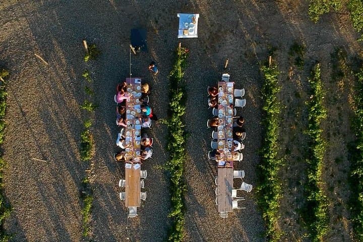 Sunset Summer Dinner Among the Vines – Small Group