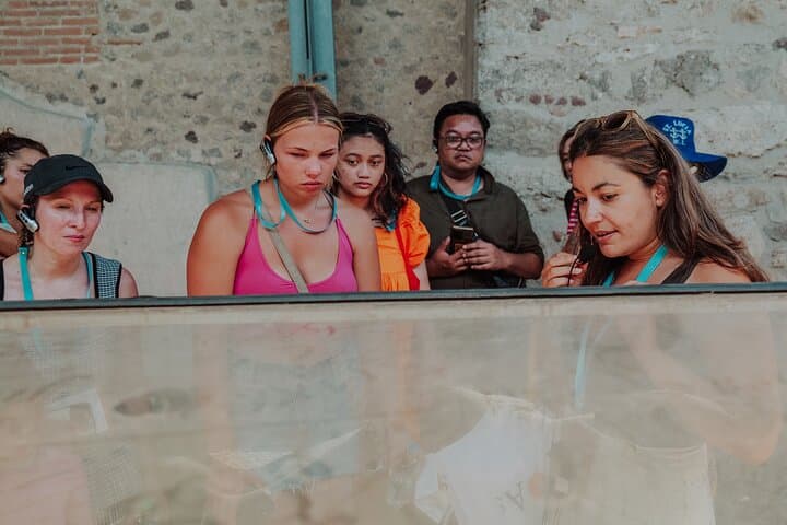 Pompeii Private Tour with an Archaeologist Guide
