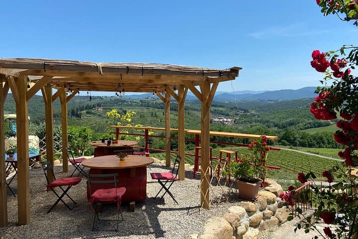 Sidecar tour in Florence and Chianti with wine tasting and lunch