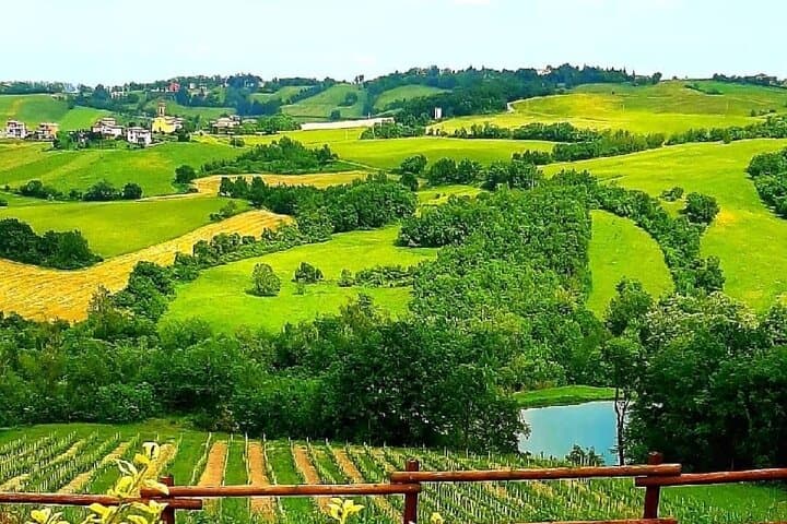 Parma Winery Tour, Wine Tasting & Local Delicacies with Transfer