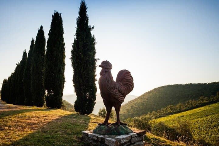 Il Gallo, The chianti symbol