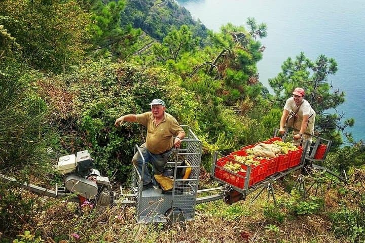 Private Day Trip to the Cinque Terre from Florence