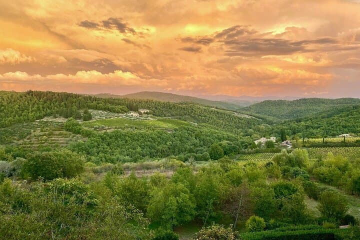 Discovering Chianti: Sunset Vespa Tour with Dinner