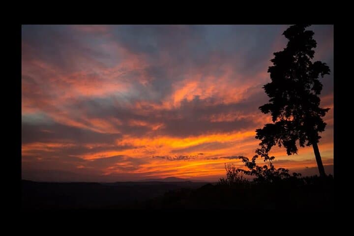 Discovering Chianti: Sunset Vespa Tour with Dinner