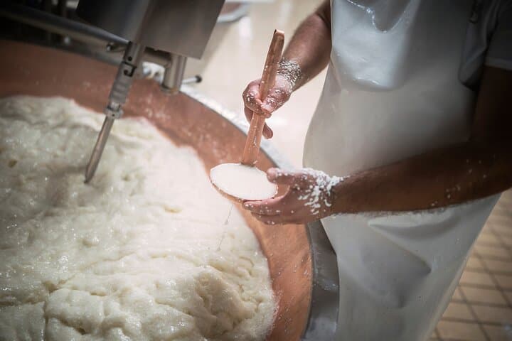 Parmigiano Reggiano cheese making | Artemilia Guided Tours
