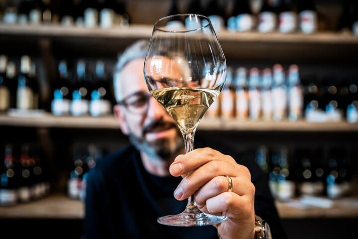 Wine Tasting Tour | Artemilia Guided Tours