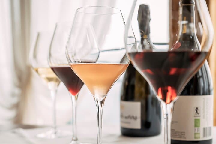 Visit to an organic winery followed by tasting | Artemilia Guided Tours