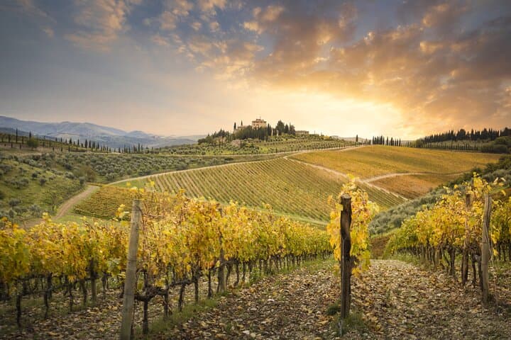 Pisa, Siena and Chianti Private Tour from Florence by Car