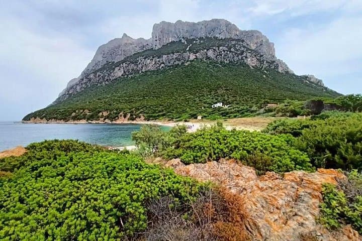 San Teodoro: Mini Tour of the Tavolara Archipelago