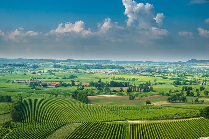 Wine Tasting: private tour from Rome