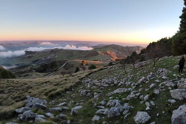 Truffle hunting in the Sicani mountains: a unique experience in Sicily