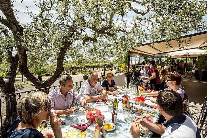 Pompeii Wine Tasting Experience, Vineyards Tour and Lunch