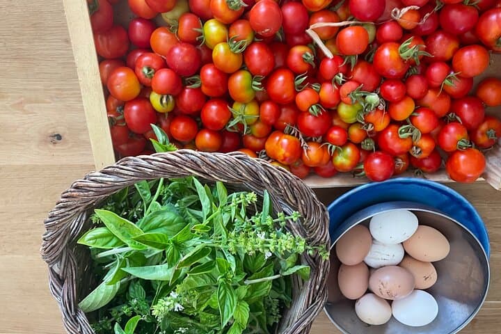 3 Hours Private Course Traditional Apulian Cuisine - Hands-on