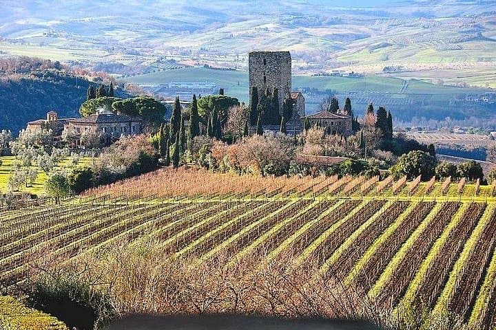 Discover Lucca and Pisa and Enjoy Buccellato Cake: Full Day Tour