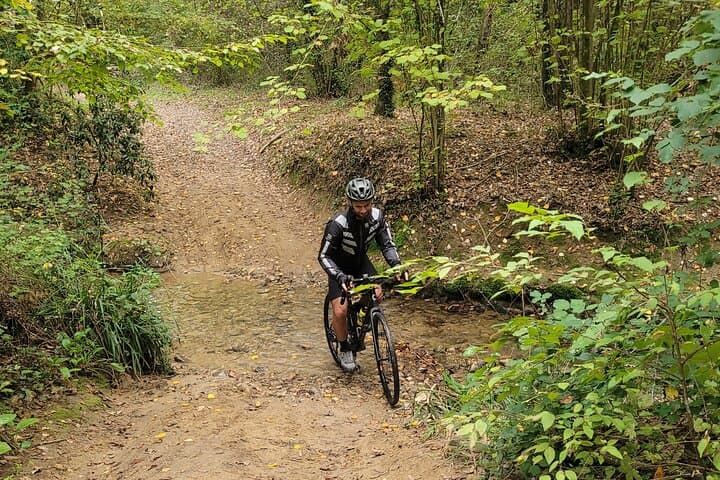 E-bike Chianti Classico Tuscany Tour with Wine and Lunch at Farm