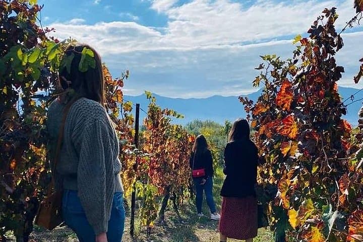 Private Tour in Pompeii Ruins and Pompeii City Center Winery