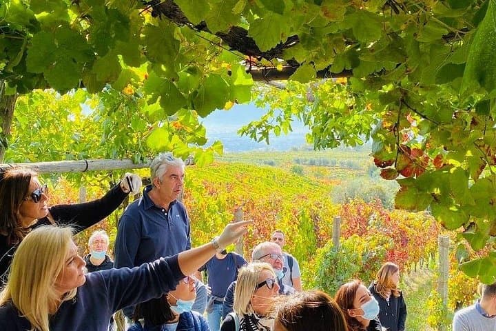 Private Tour in Pompeii Ruins and Pompeii City Center Winery