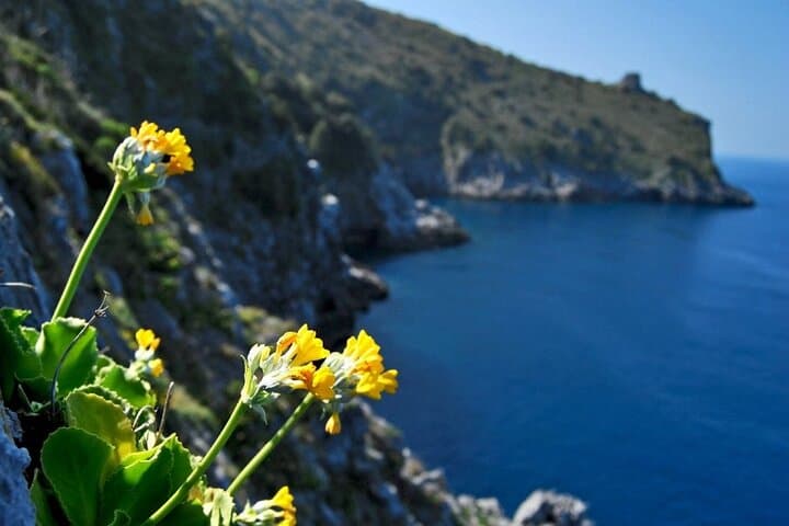 Amalfi Coast: Private Luxury Tour of Ravello and Amalfi