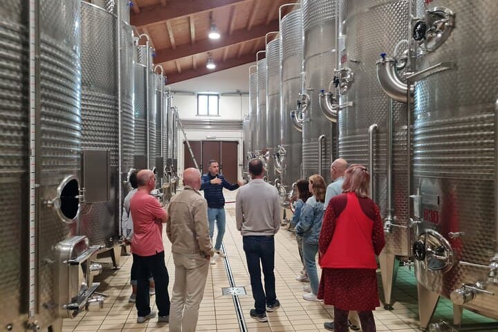 Montefalco Wine Tour with Farm-to-Table Lunch (2 Wineries)