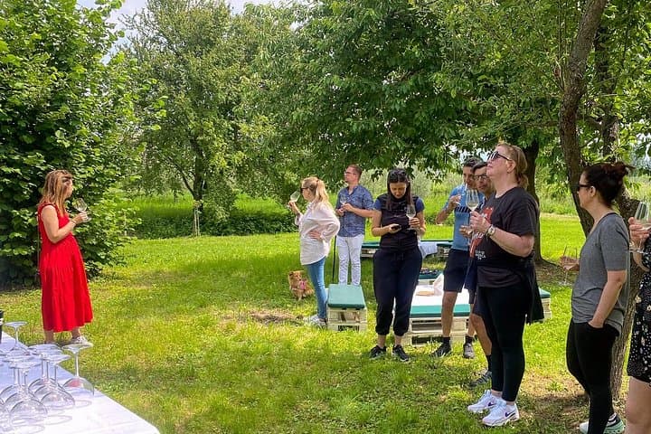 Wine Tasting and Tour of Lugana Wines in Sirmione