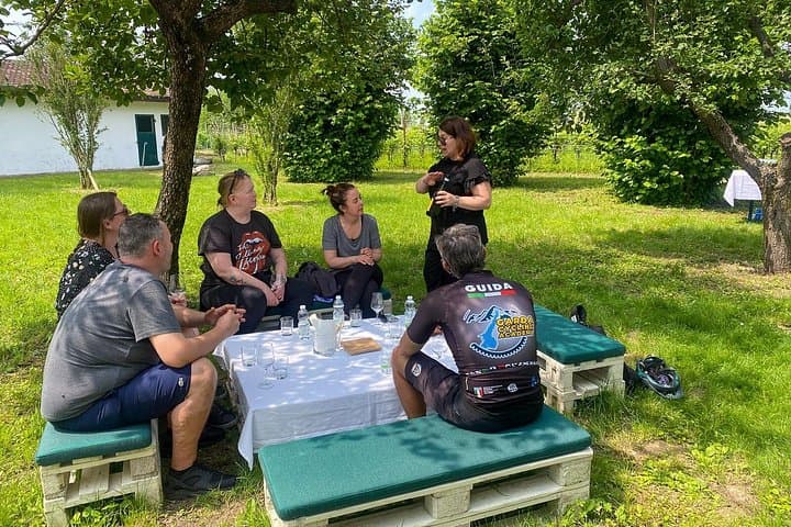 Wine Tasting and Tour of Lugana Wines in Sirmione