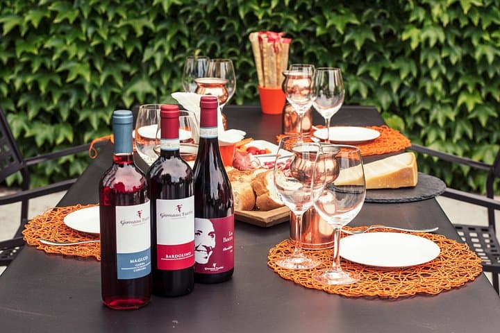 Vineyard tour and tasting of 6 Garda Wines with Giovanna Tantini