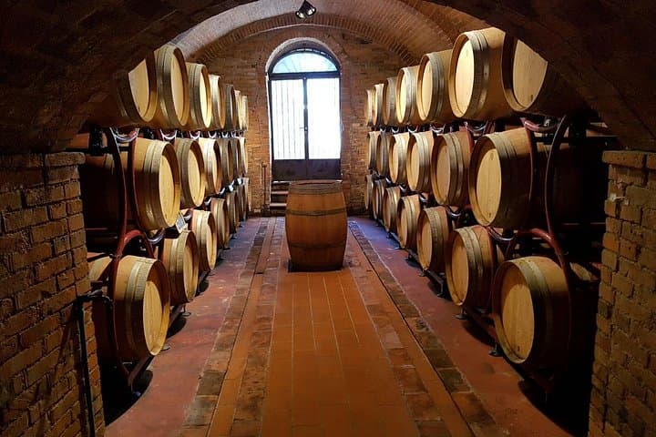 Wine Tasting: private tour from Rome