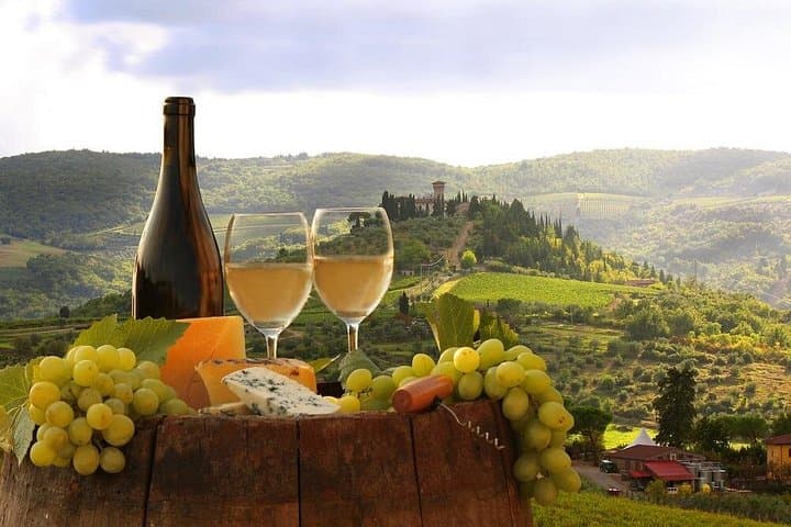 Wine Tasting: private tour from Rome