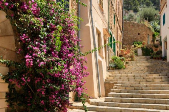 Best tour from cruise port to Taormina-Castelmola-Isola Bella