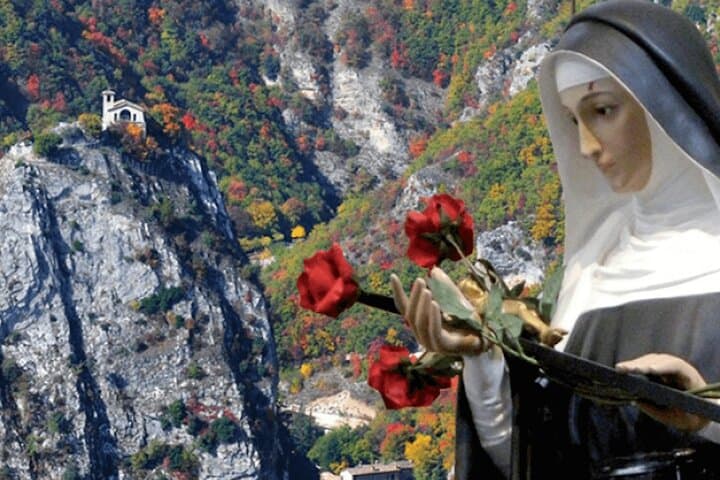 The rose of Santa Rita