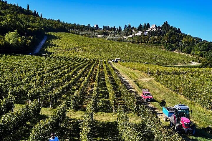 The Essence of Tuscany: Private Chianti & Estate Winery Lunch