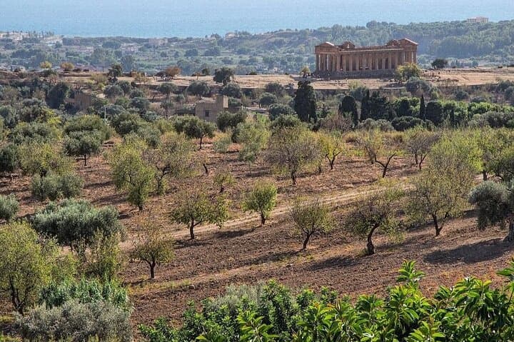 Private Tour Agrigento Valley of the Temples Park and Scala Dei Turchi