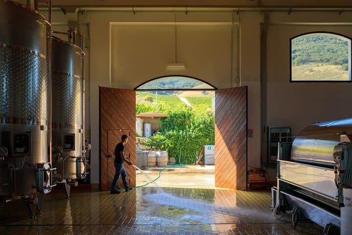 Di Giovanna Winery Tour & 5 Wine Tasting