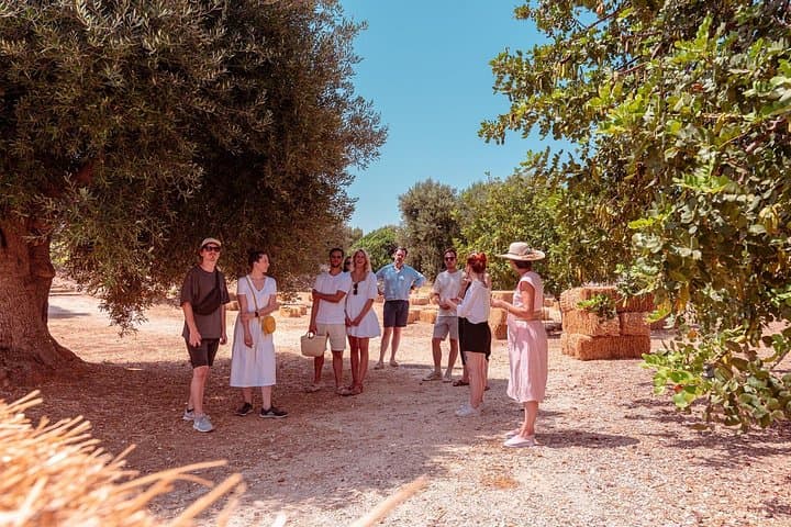 Tour Rural Park of Masseria with 3 labels of EVO oil Tasting
