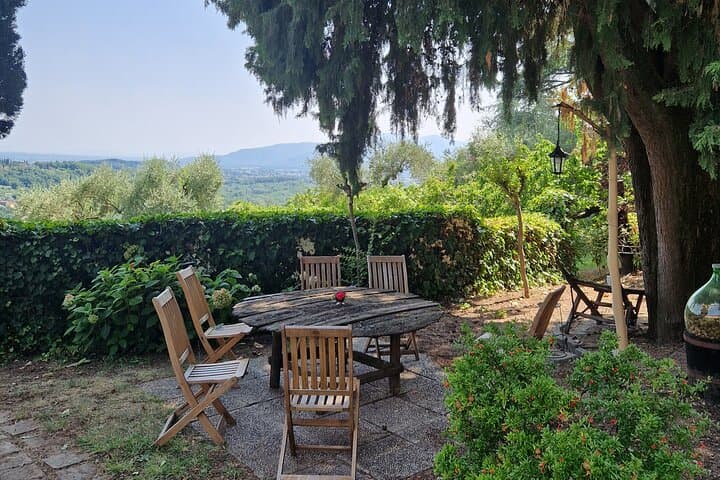 Wine Tour in the Countryside of Lucca with Lunch - with Minivan
