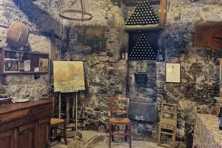 Wine Tour in the Countryside of Lucca with Lunch - with Minivan