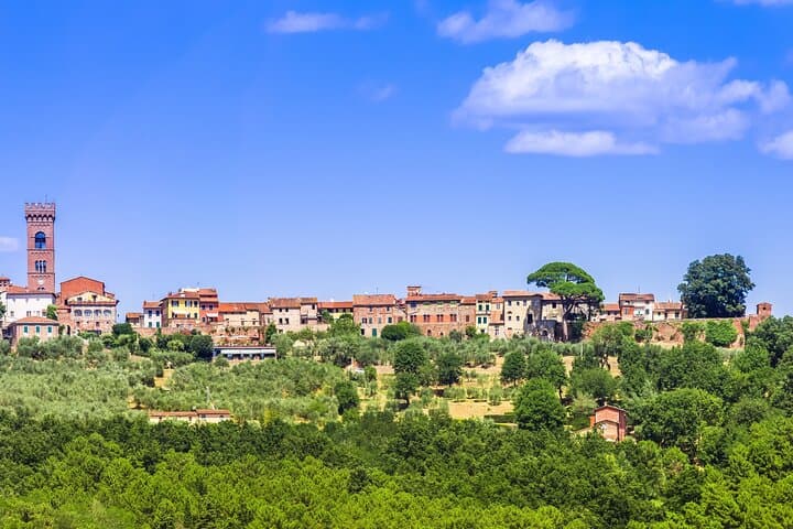 Wine Tour in the Countryside of Lucca with Lunch - with Minivan