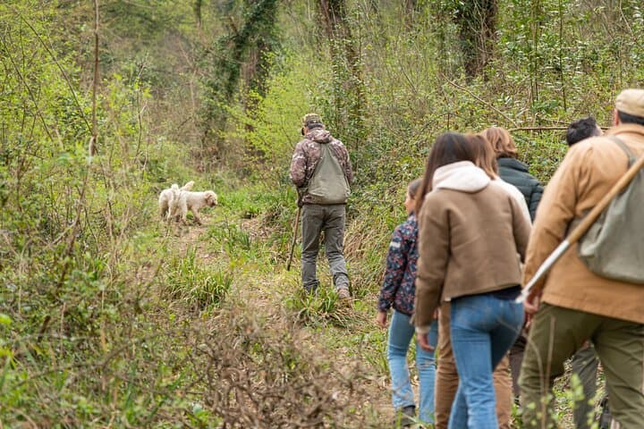 Truffle Hunting in Tuscany with Tasting - Private