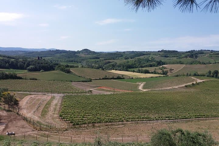 Private Tour in San Gimignano and Chianti Day Trip from Florence