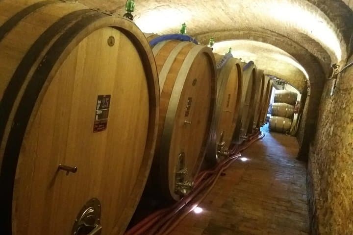 Private Tour in San Gimignano and Chianti Day Trip from Florence