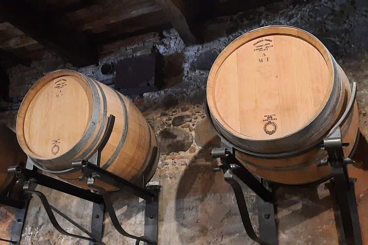 Wine Experience in farm vineyard & winery from Montecatini